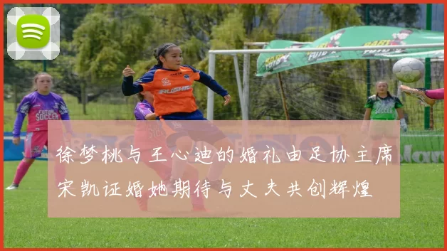 徐梦桃与王心迪的婚礼由足协主席宋凯证婚她期待与丈夫共创辉煌