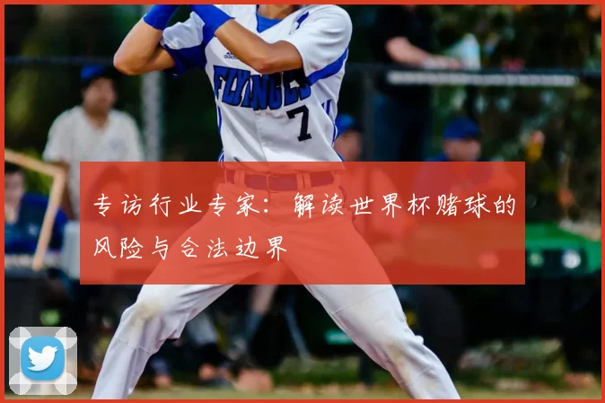 专访行业专家:解读世界杯赌球的风险与合法边界