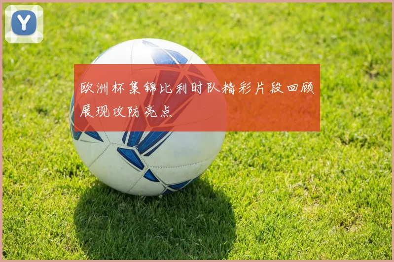 欧洲杯集锦比利时队精彩片段回顾展现攻防亮点