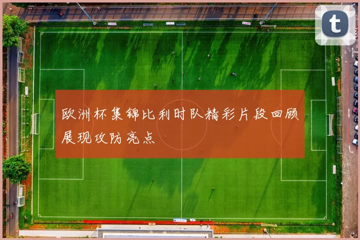 欧洲杯集锦比利时队精彩片段回顾展现攻防亮点