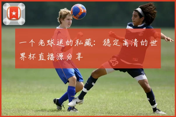 一个老球迷的私藏：稳定高清的世界杯直播源分享