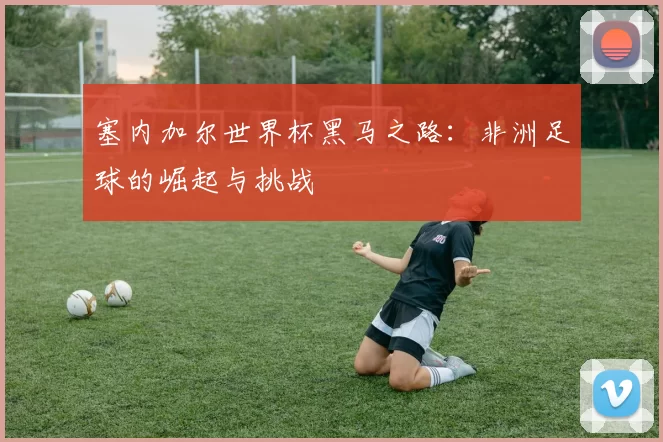 塞内加尔世界杯黑马之路:非洲足球的崛起与挑战