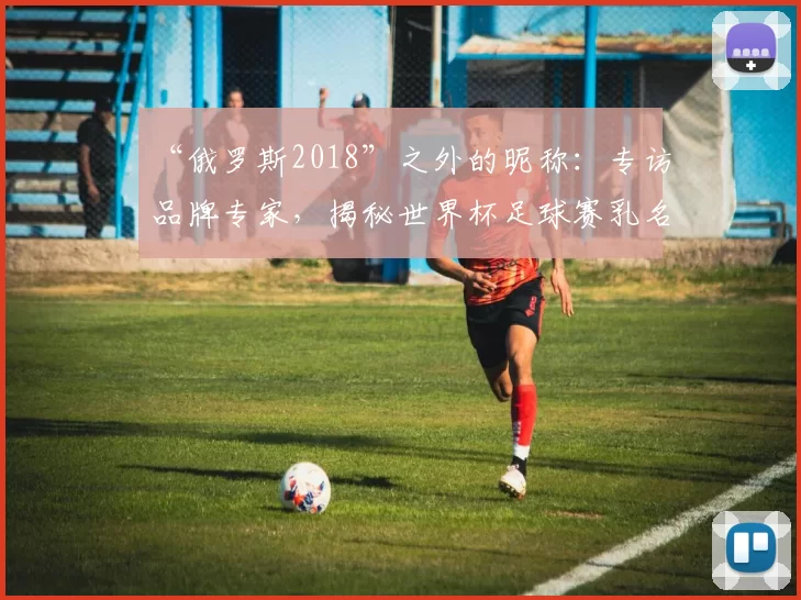 “俄罗斯2018”之外的昵称:专访品牌专家,揭秘世界杯足球赛乳名的传播策略