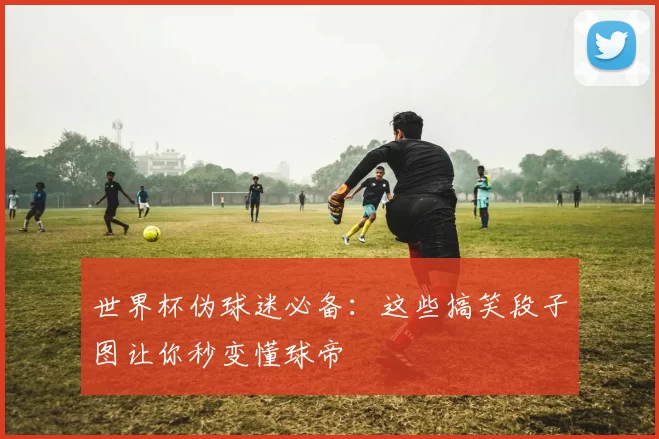 世界杯伪球迷必备:这些搞笑段子图让你秒变懂球帝