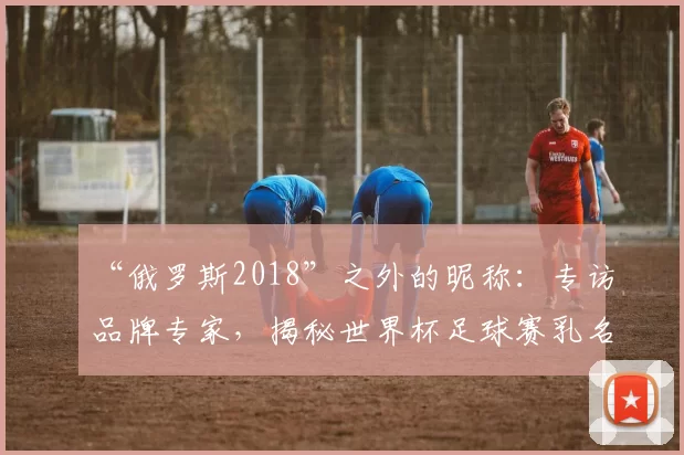 “俄罗斯2018”之外的昵称:专访品牌专家,揭秘世界杯足球赛乳名的传播策略