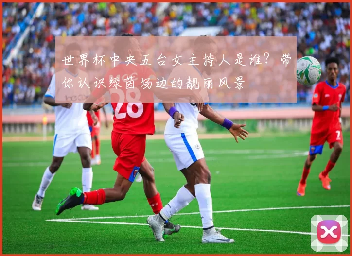 世界杯中央五台女主持人是谁？带你认识绿茵场边的靓丽风景
