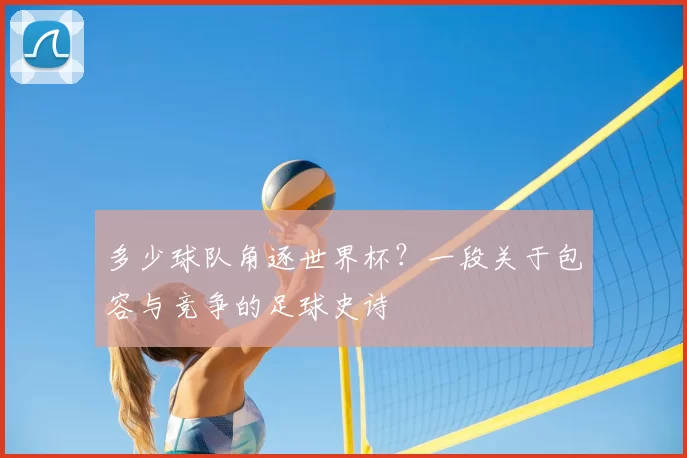 多少球队角逐世界杯？一段关于包容与竞争的足球史诗