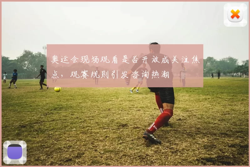 奥运会现场观看是否开放成关注焦点,观赛规则引发咨询热潮