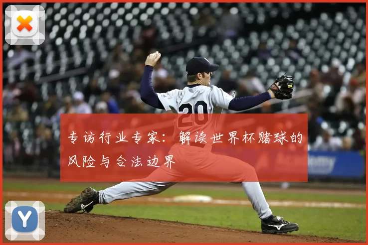 专访行业专家:解读世界杯赌球的风险与合法边界